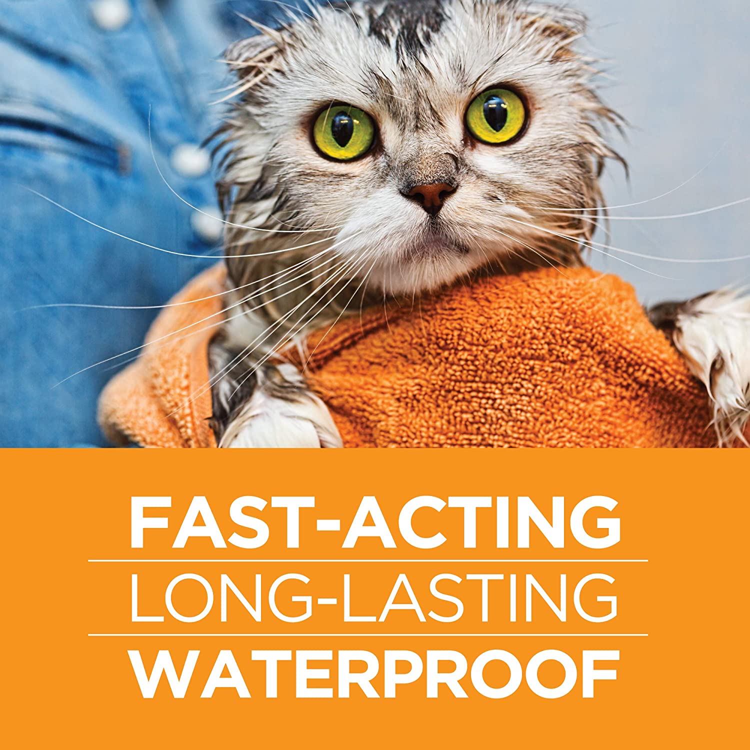 FirstAct2.jpg FirstAct Plus Flea and Tick Prevention for Cats 1.5 lbs and Over - Image 2