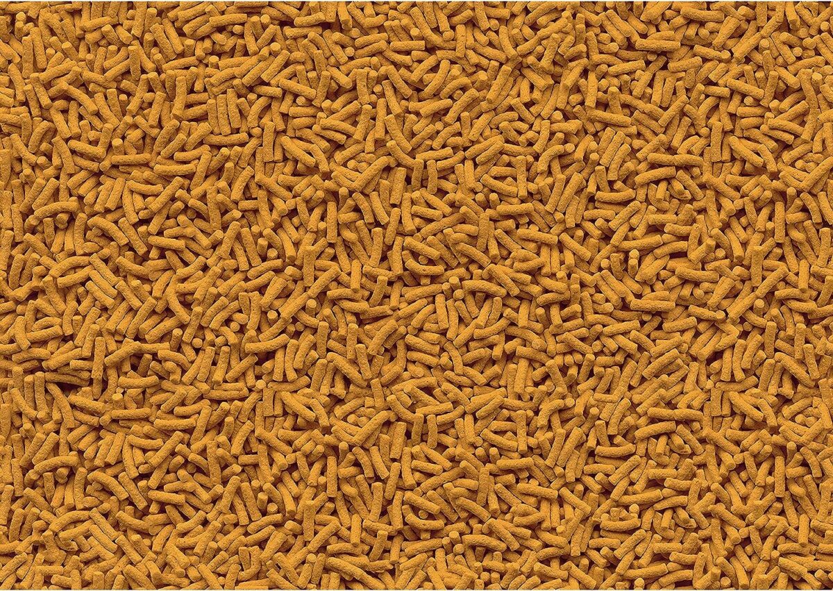 Tetra 16485 Koi Vibrance Sticks Fish Food - Image 3