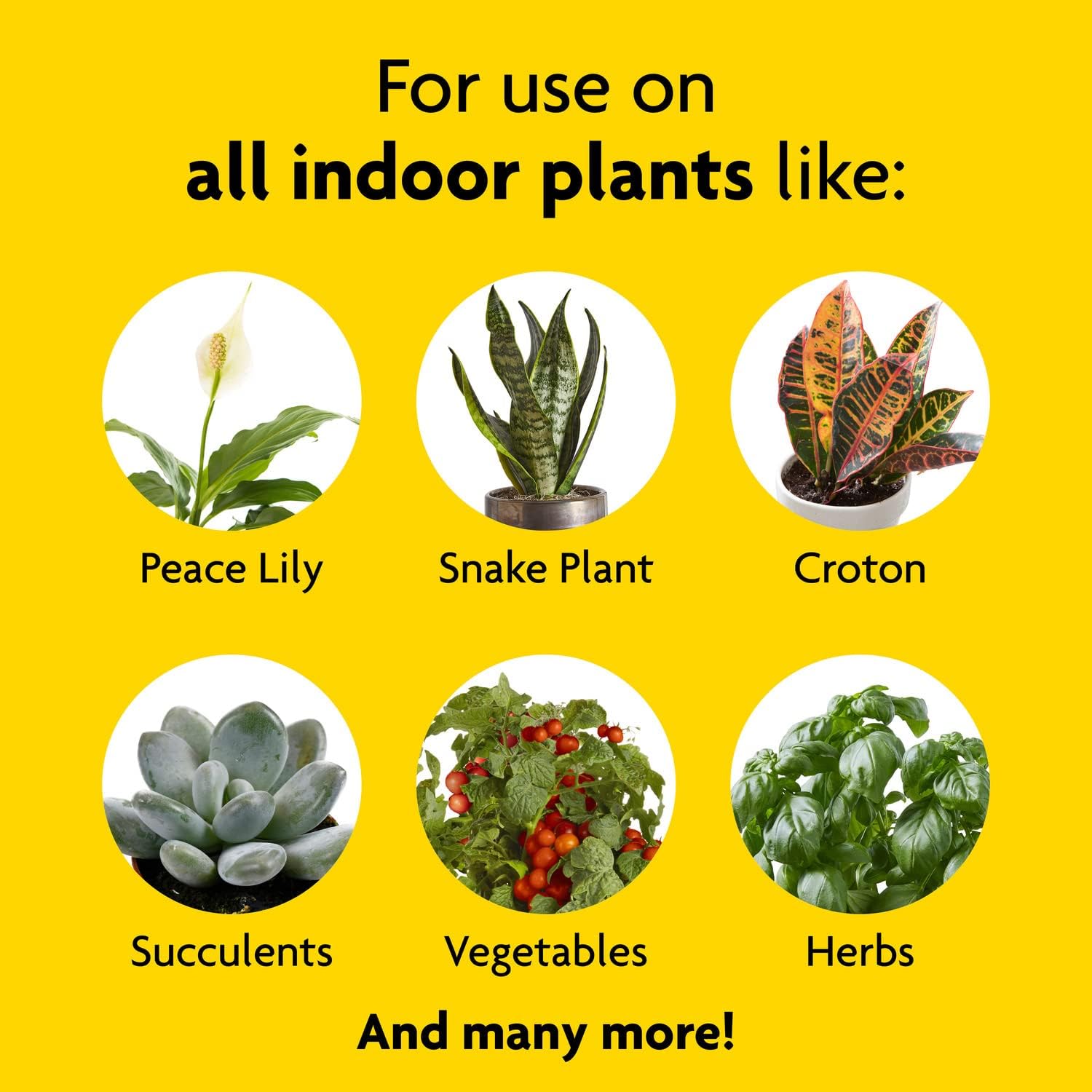mira2-1.jpg Miracle-Gro Indoor Plant Food (Liquid) - Image 2