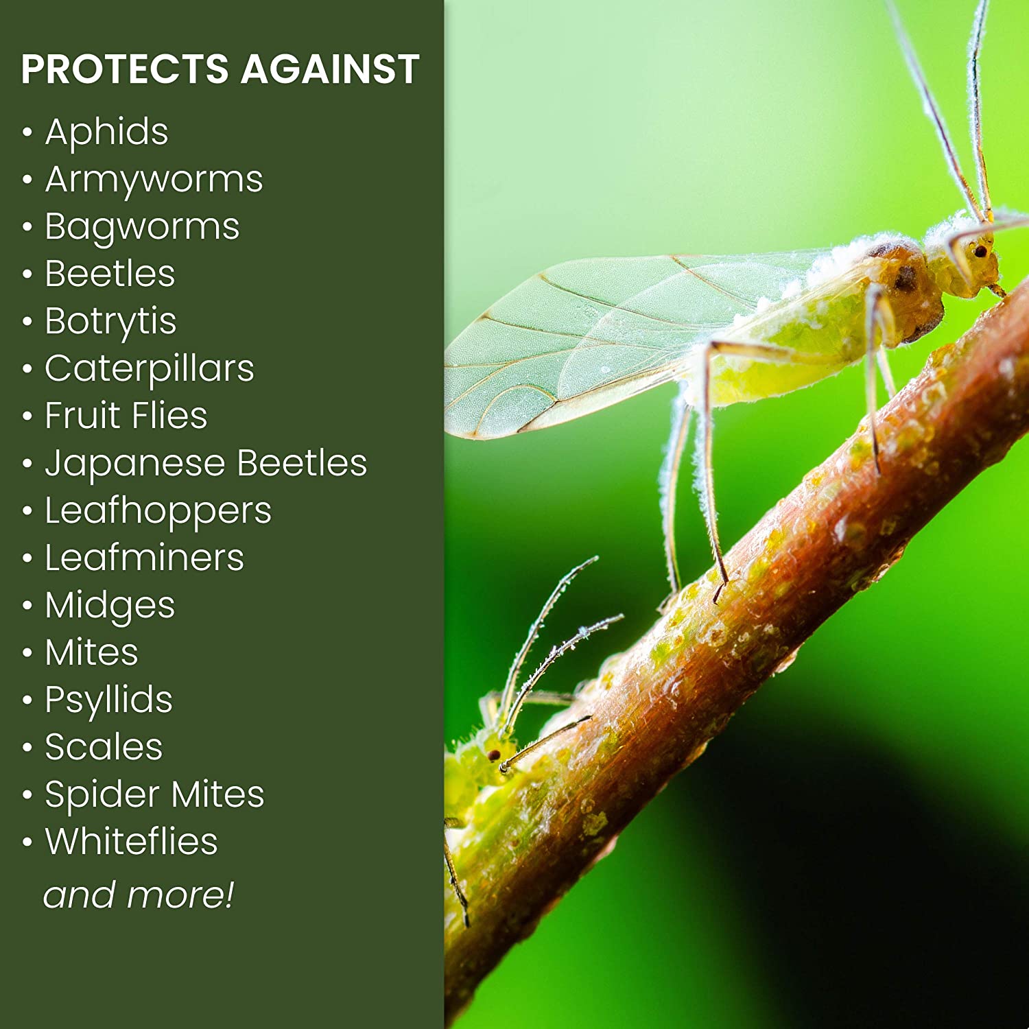 nat3.jpg Natria 706250A Neem Oil Spray for Plants Pest Organic Disease Control - Image 3