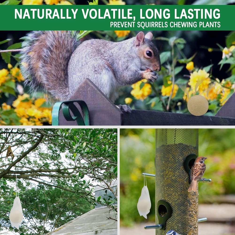 re3.jpg SUAVEC Squirrel Repellent Outdoor, for Garden - Image 3
