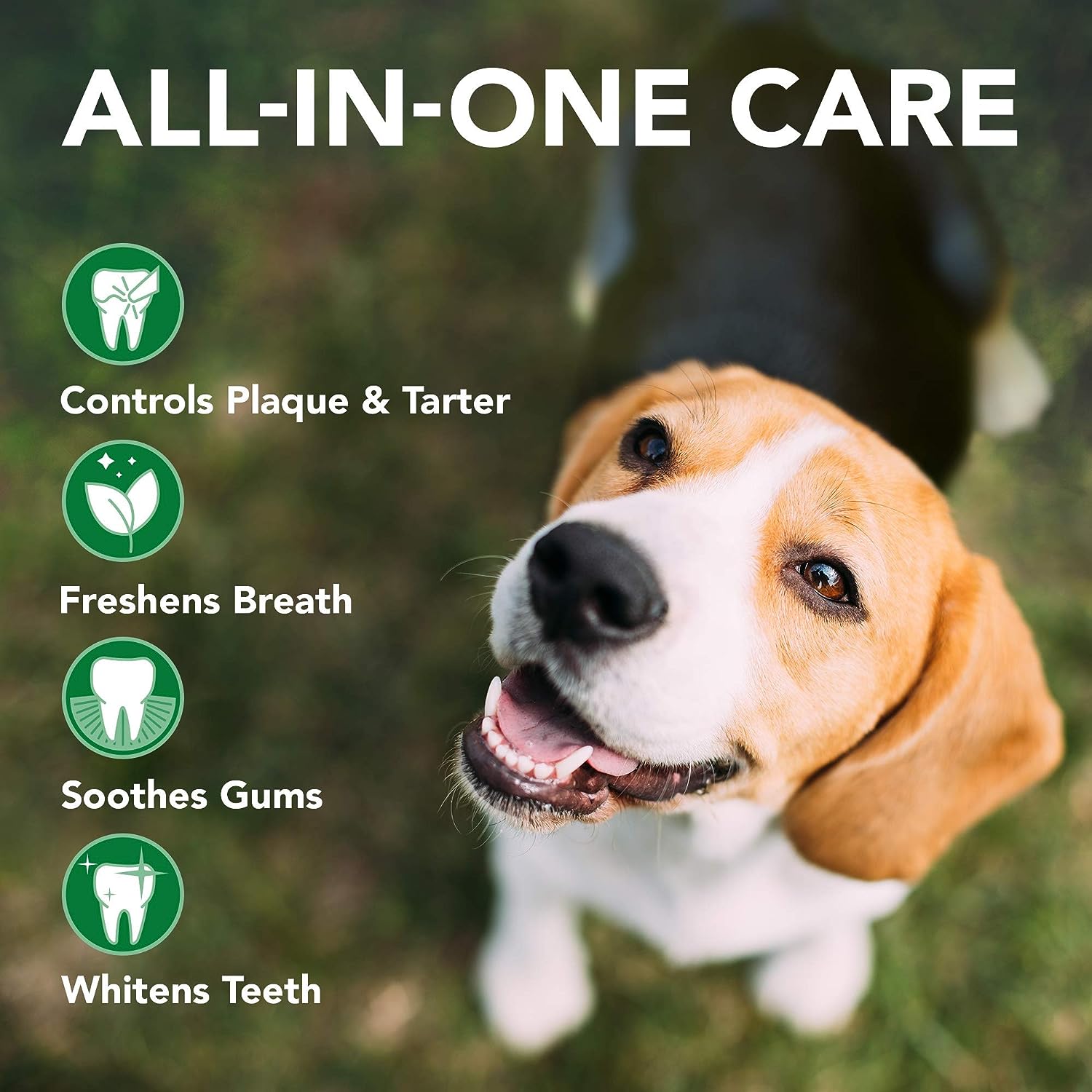 th2.jpg Vet’s Best Dog Toothbrush and Enzymatic Toothpaste Set - Image 2